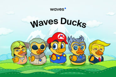 waves ducks