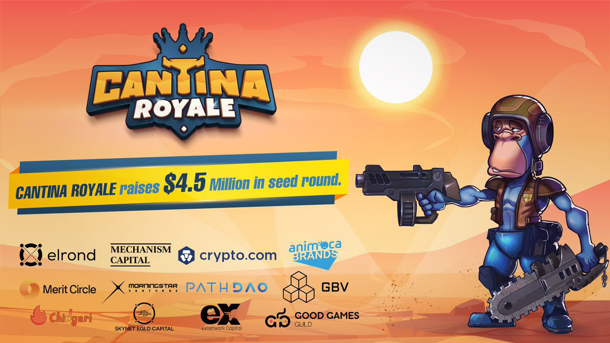 Зри в корень или что такое Cantina Royale на самом деле | CryptoGamingPool